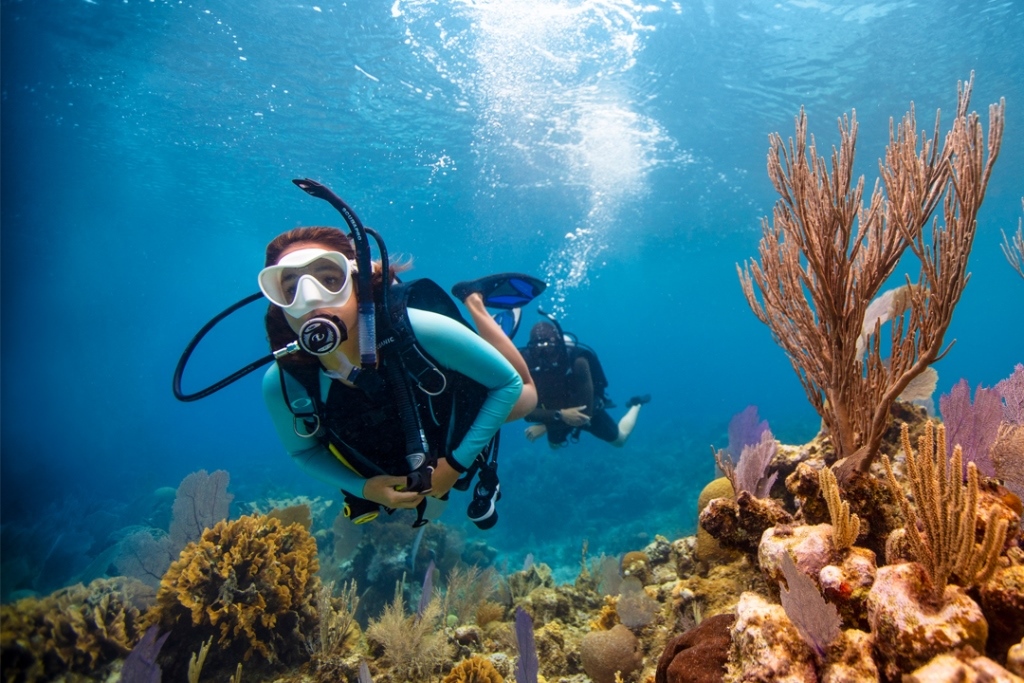 Las Catalinas 2 Dives