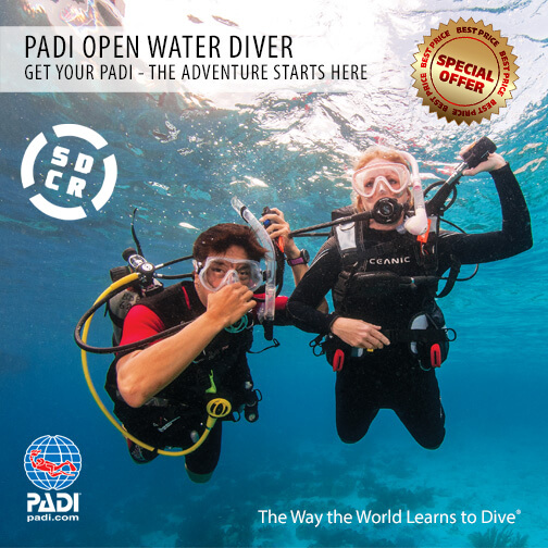 Buzo PADI Open Water