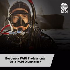 PADI-Divemaster-SDCR 1